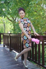 这美韵的靓姐旗袍风情美照使人迷醉[13P]